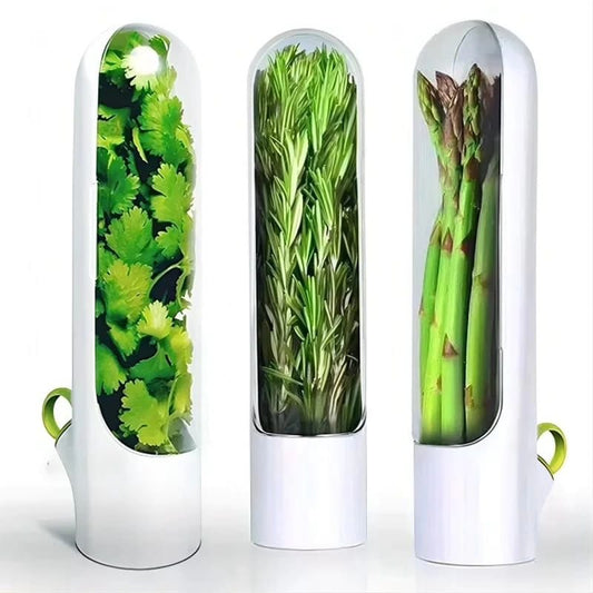 Kitchen Herb/Kale Preserving Storage Box
