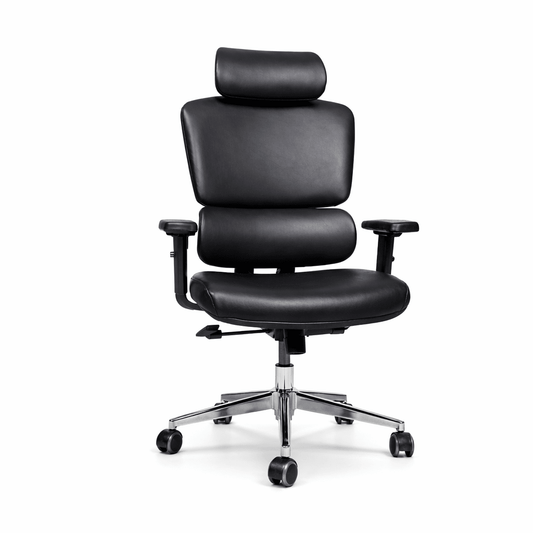 Ergonomic High - Back Office Chair with Lumbar Support | - Elegant Households KE