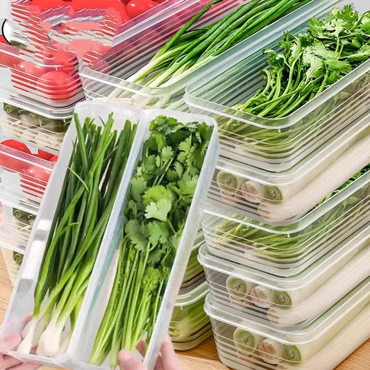 Refrigerator Herb Storage Boxes | - Elegant Households KE