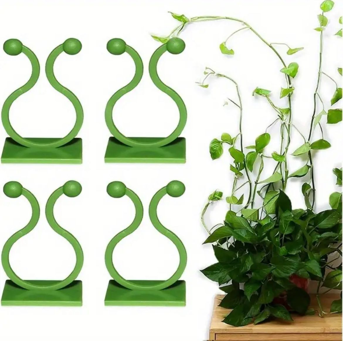 10pcs/lot Invisible Wall Rattan Clamp Clip Plant Climbing Wall Clip Wall Vines Fixture Wall Sticky Hook Holder | - Elegant Households KE