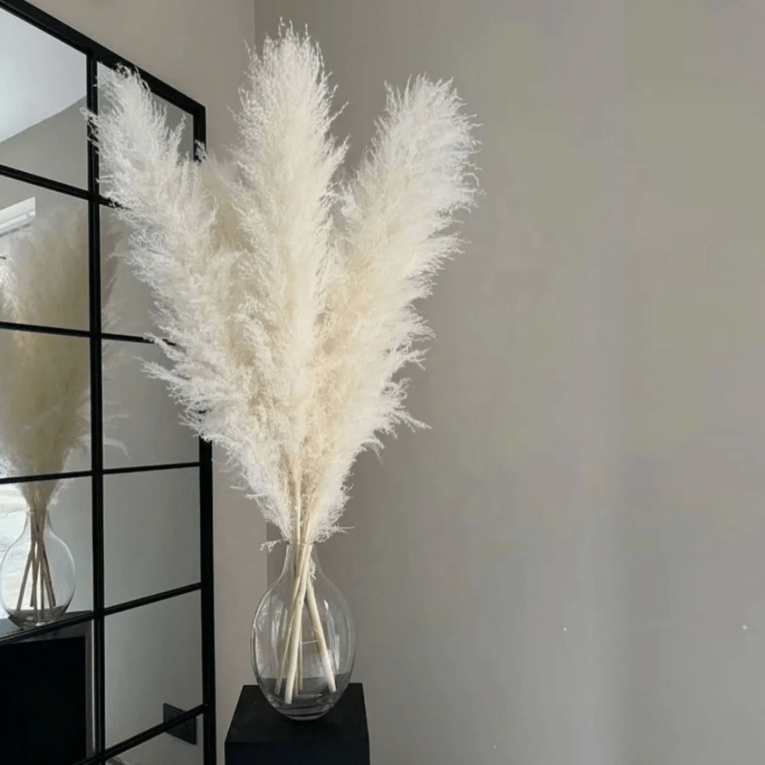 15pcs Dried Pampas Grass | - Elegant Households KE