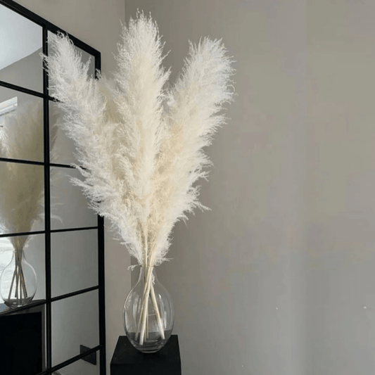 15pcs Dried Pampas Grass | - Elegant Households KE