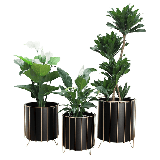 3pcs Flower pot sets | - Elegant Households KE
