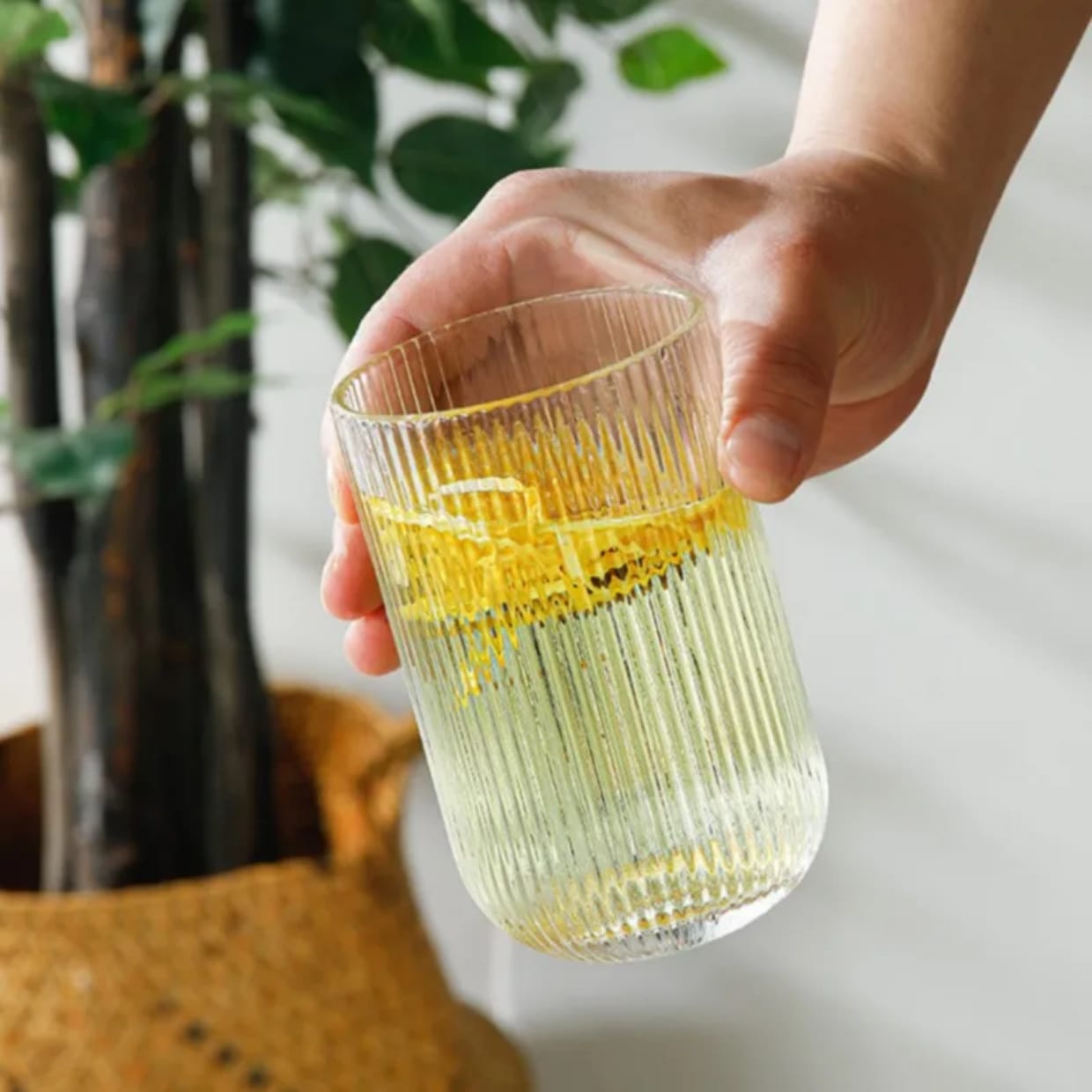 6pcs water/juice glass | - Elegant Households KE