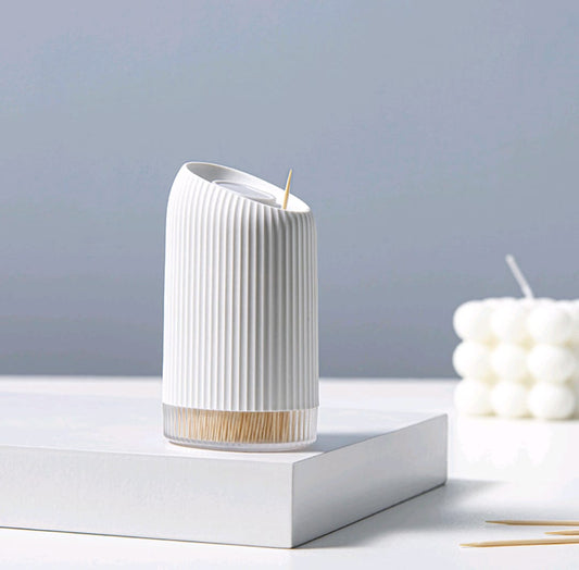Toothpick holder with toothpicks
