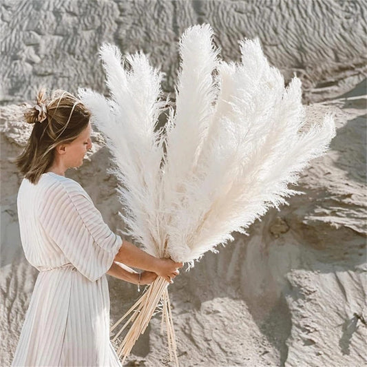 Fluffy Large Pampas Grass Decor