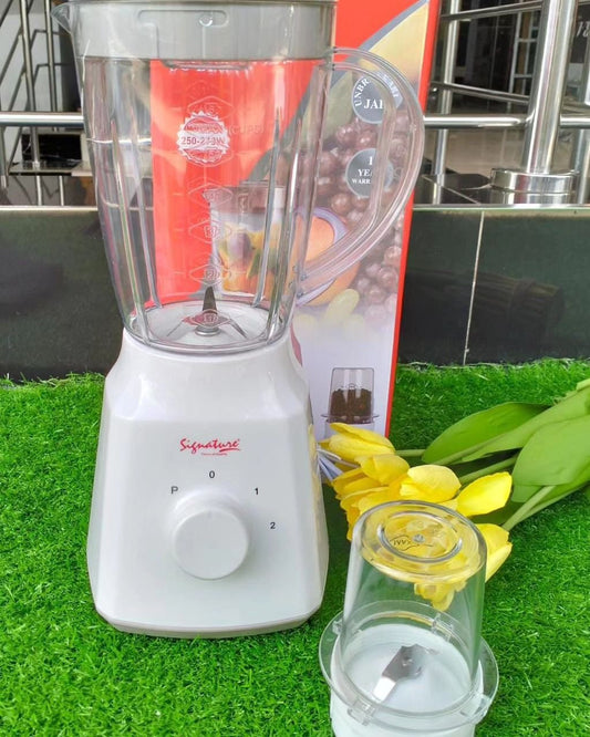 2 in 1 Blender