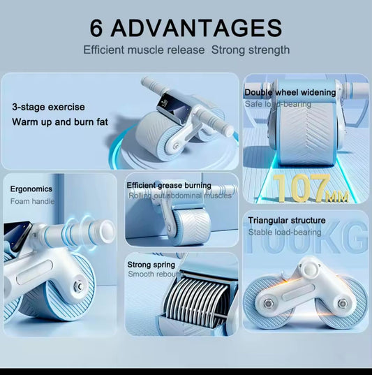 Fitness Ab Roller Coaster Wheel | - Elegant Households KE