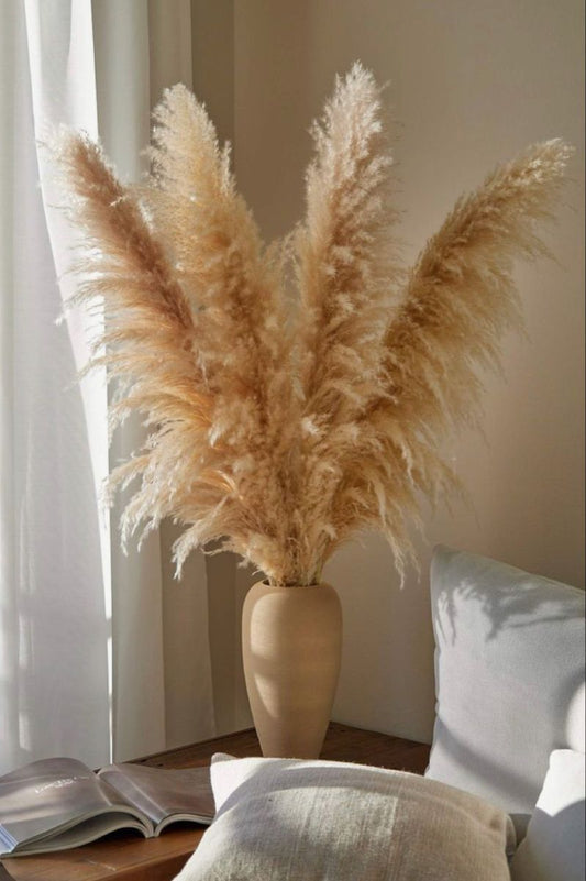 Fluffy Large Pampas Grass Decor | - Elegant Households KE