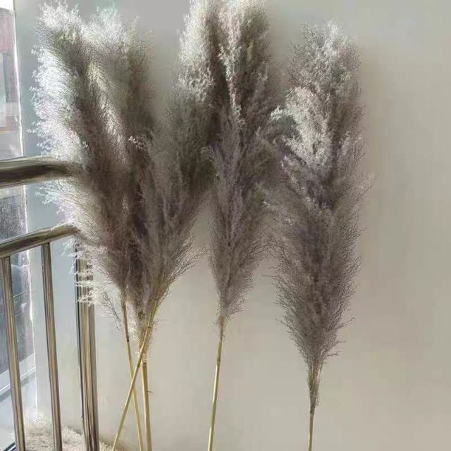Fluffy Large Pampas Grass Decor | - Elegant Households KE