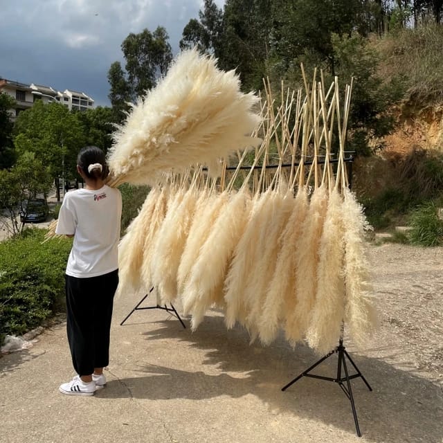 Fluffy Large Pampas Grass Decor | - Elegant Households KE