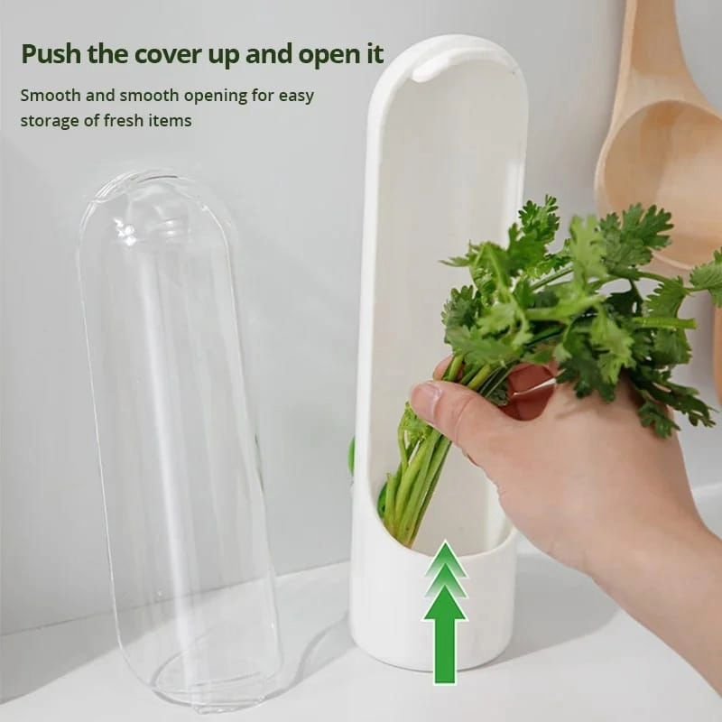 Kitchen Herb/Kale Preserving Storage Box | - Elegant Households KE