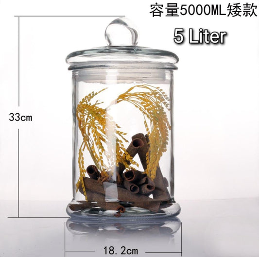 glass jar - 5000ml Cylindrical Glass Jar with Airtight Lid