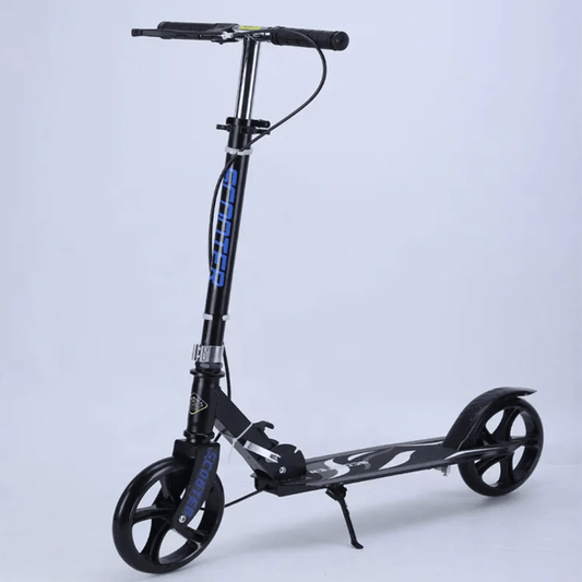 Metallic Kick Scooter for Kids | - Elegant Households KE