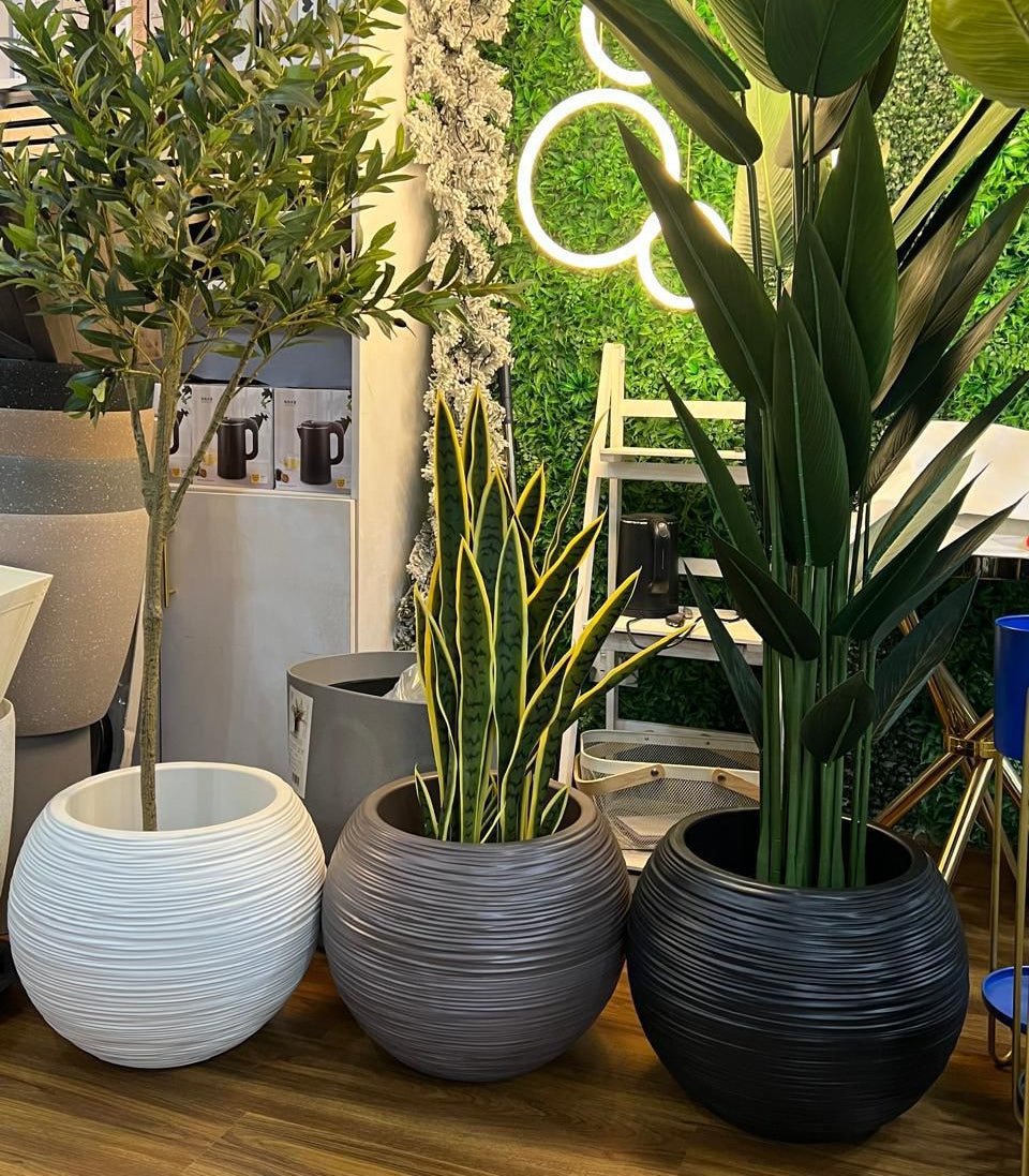 Modern FRP Pot Plant – Minimalist  Planter for Indoor Plants