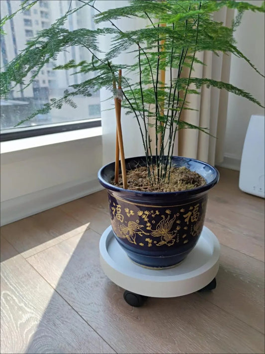 Movable Plant Pot & Gas Cylinder Stand with Wheels | - Elegant Households KE