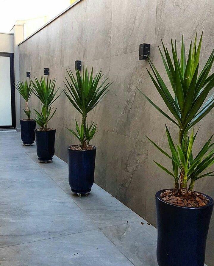 Real Touch Artificial Yucca Plant | - Elegant Households KE