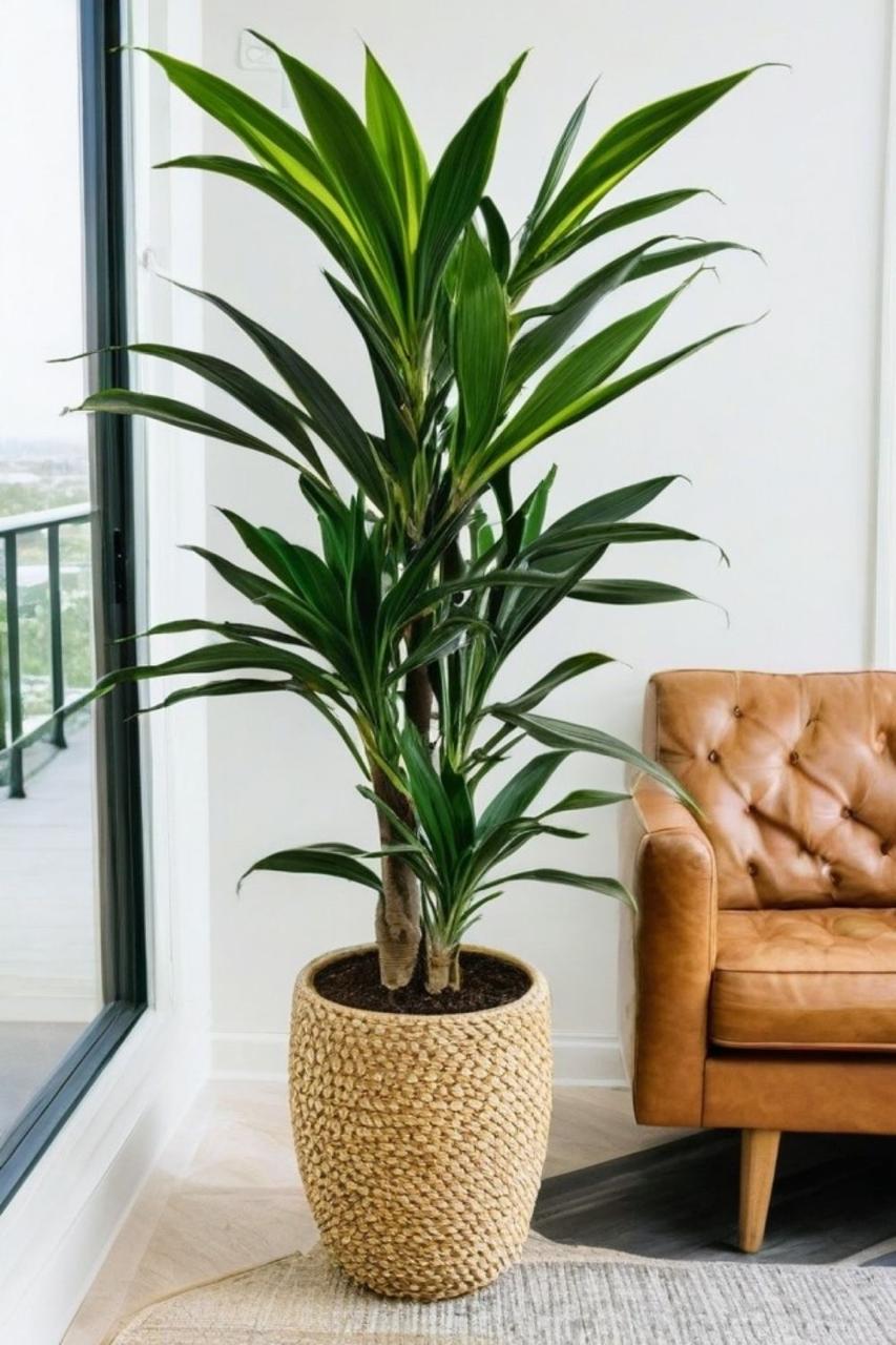 Real Touch Artificial Yucca Plant | - Elegant Households KE