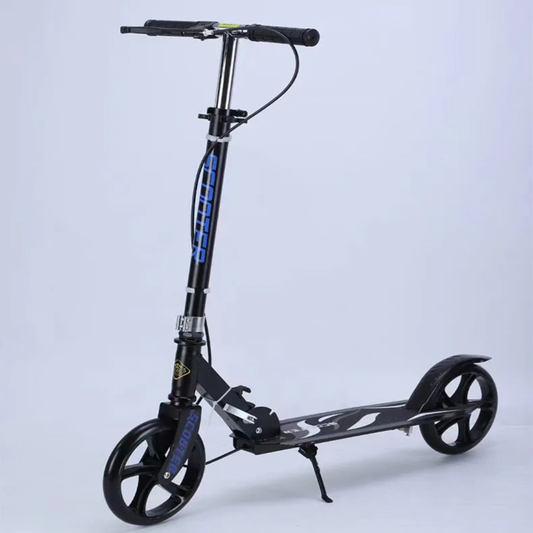 Metallic Kick Scooter for Kids