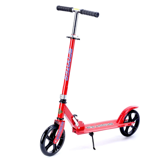 Metallic Kick Scooter for Kids
