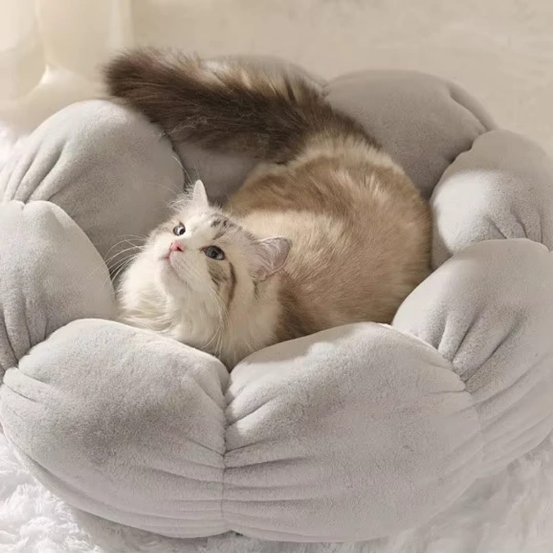 U - Shaped Neck Plush Pillow | - Elegant Households KE
