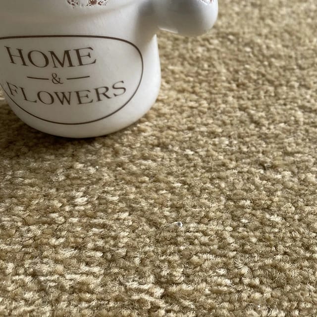 Carpet – High-Quality Floor Carpet for Homes and Offices in Kenya