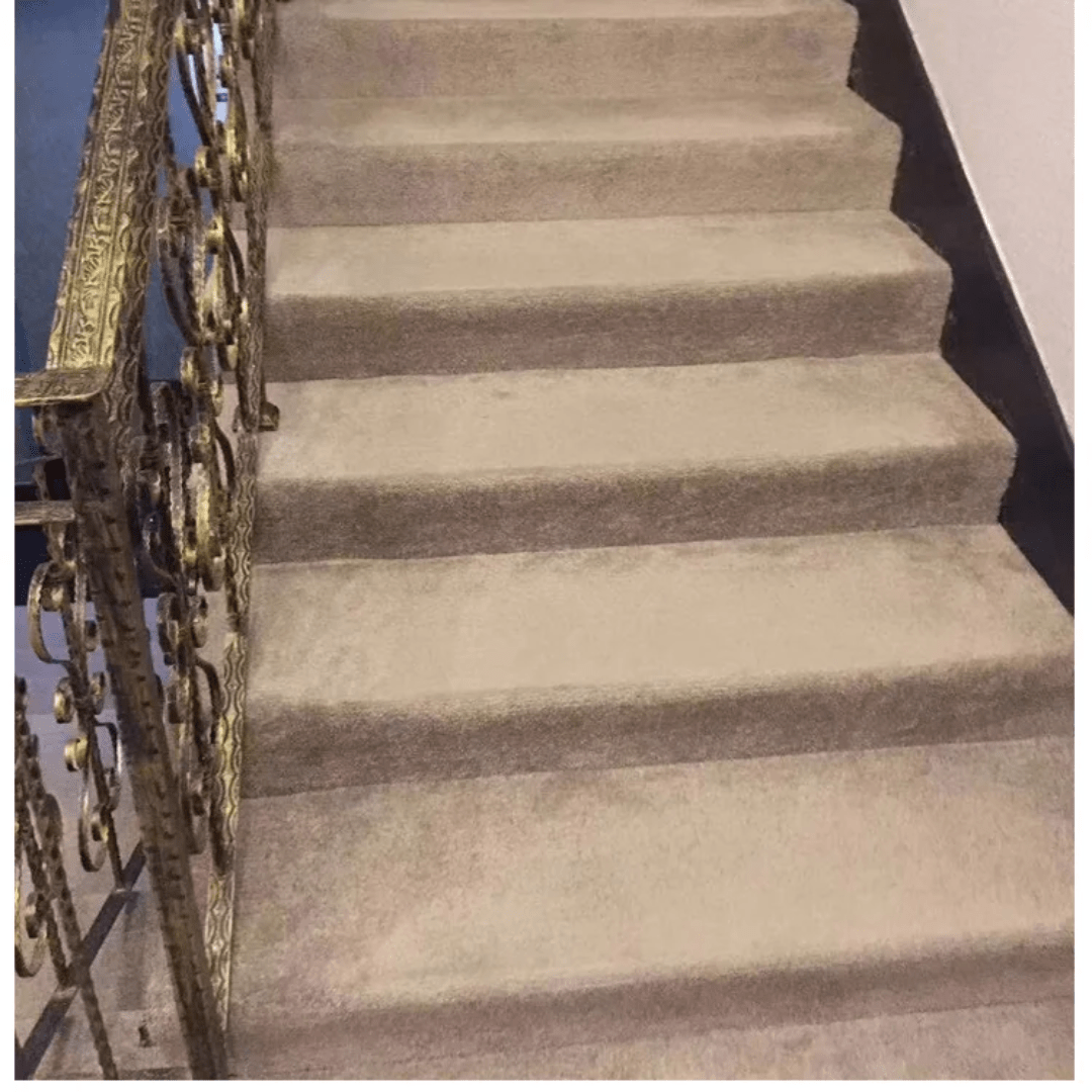 USA CARPET Wall - to - wall carpet | - Elegant Households KE