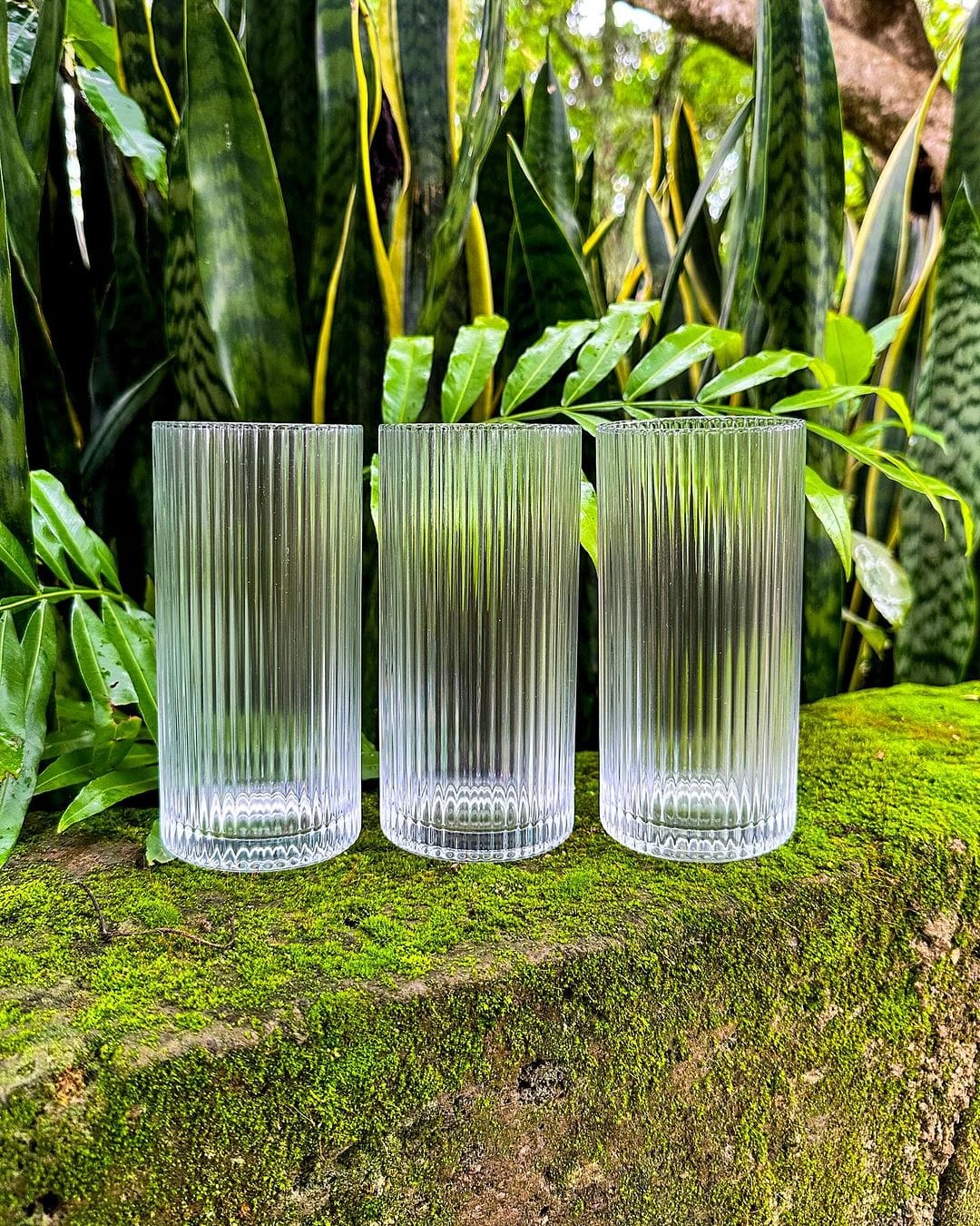 Vertical stripe Highball water/Juice/whiskeyglasses | - Elegant Households KE
