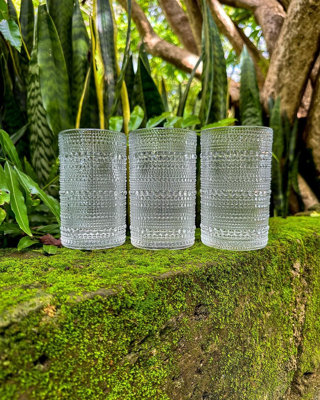 Vintage Embossed Dots pattern transparent Water/Juice/Wine/Whiskey Glass | - Elegant Households KE